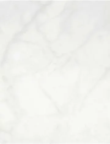 P.E. LOUISIANA WHITE PUL. 60X120 RECT.